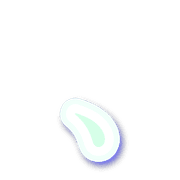 256