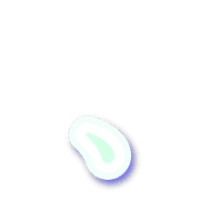 256