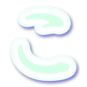 010