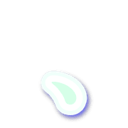 256