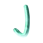 010