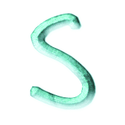 019