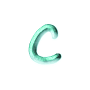 029