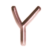 025