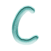 003