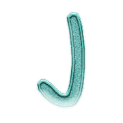010