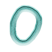 015