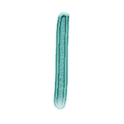 038