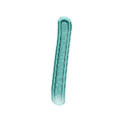 053