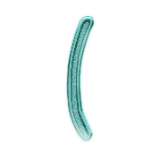 073