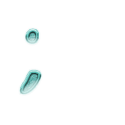 082