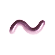 063