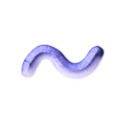 063