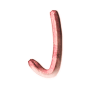 010