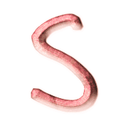 019