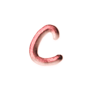 029