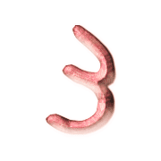 055