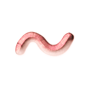 063