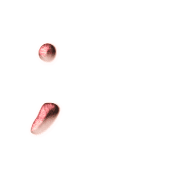 082