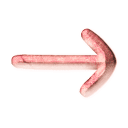 101