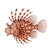 033