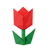 031
