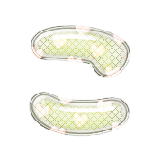 010