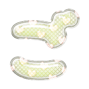 060