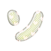 095