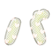 151