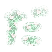 066