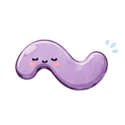 010