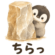 017