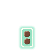 244