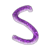 019