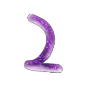 054