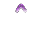 070