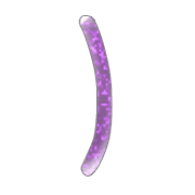 074