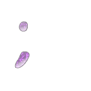 082