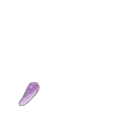 084