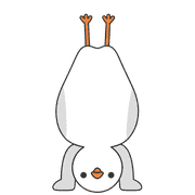 011