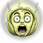 004