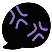 010