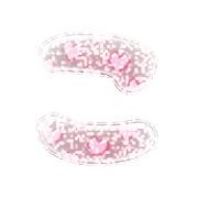 010