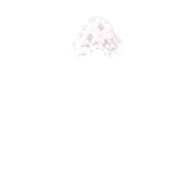 231