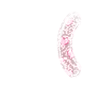 234