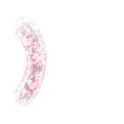 235