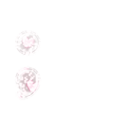 243