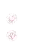 244