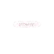 251